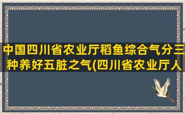 中国四川省农业厅稻鱼综合气分三种养好五脏之气(四川省农业厅人员名单)