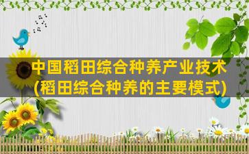 中国稻田综合种养产业技术(稻田综合种养的主要模式)