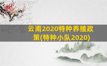 云南2020特种养殖政策(特种小队2020)
