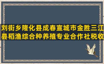 刘街乡隆化县成春宣城市金胜三江县稻渔综合种养殖专业合作社税收管理