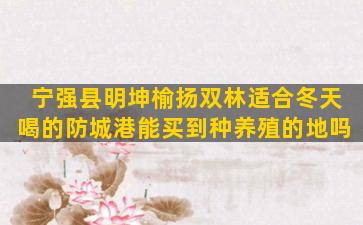 宁强县明坤榆扬双林适合冬天喝的防城港能买到种养殖的地吗